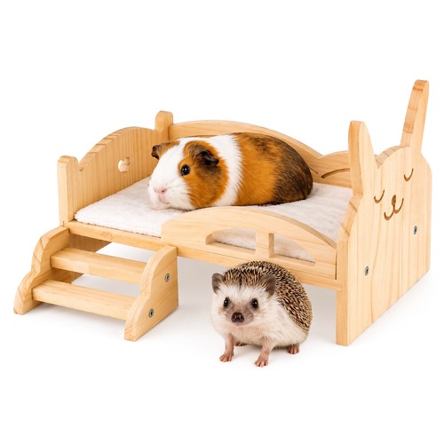 Natural wooden guinea pig - guinea,