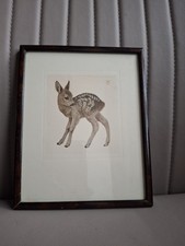 Vintage Delightful Etching Of Baby Deer By Kurt Meyer Eberhardt Framed