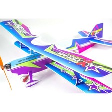 DWHobby 450 Wingspan 4CH Stunt