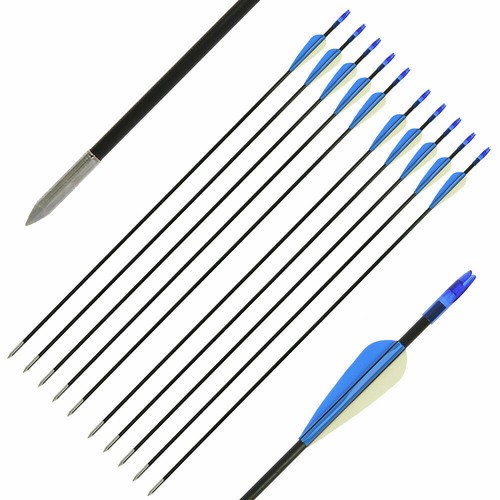 Fibreglass archery arrows - archery, for