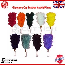 Glengarry Cap Feather