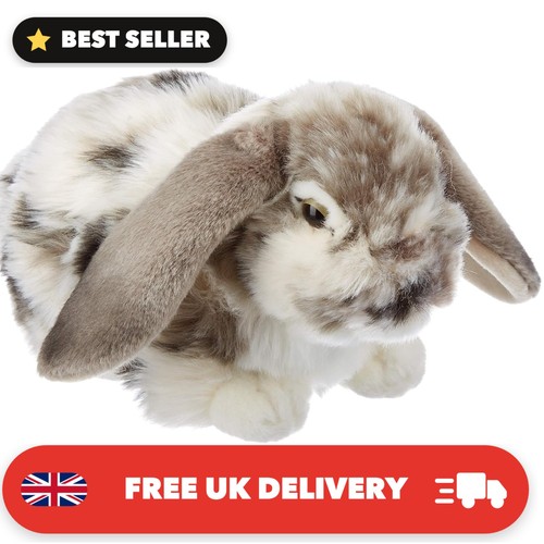 Lop eared rabbit plush soft - lop,