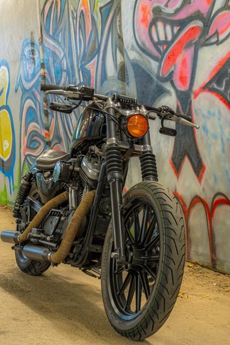 Rare harley davidson - davidson, sportster