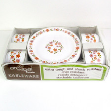 Vintage Arcopal Tea Service -
