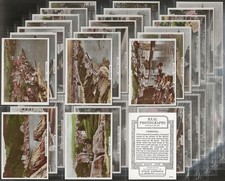 ARDATH-FULL SET- REAL PHOTOGRAPHS 1939 (4TH SERIES CV4 LF44 CARDS) EXCELLENT+++