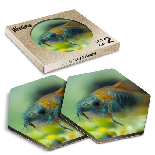 Hexagon mdf coaster aquarium - coaster,