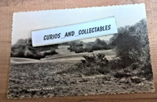 Hainault Forest Cranley