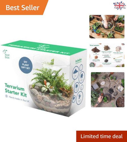 Diy succulent terrarium - xl, kit