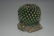 2 x Vivarium Reptile Cactus