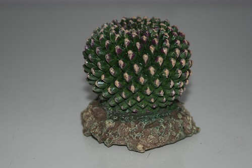 Vivarium reptile cactus - 2,
