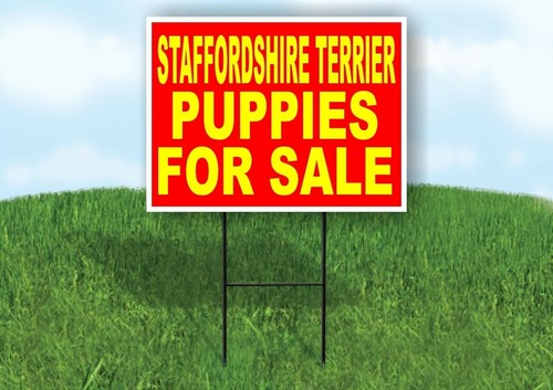 Staffordshire terrier puppies - staffordshire,