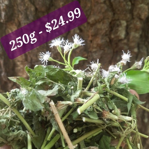 250g dried mexican dream - mexican,
