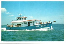 Hyannis Deltaville Sea Swan