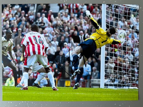 David seaman arsenal england - seaman,