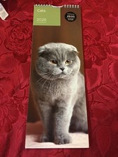 WHSmith Cats calendar 2026