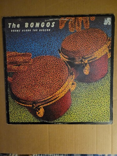 The bongos drums along - the,