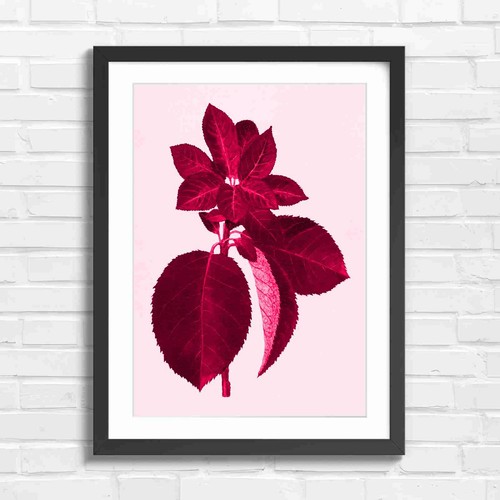 Vintage red leaf - botanical, art