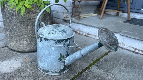 Vintage rose galvanised - vintage,