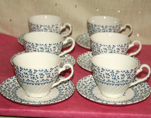 Royal victoria rose - royal,