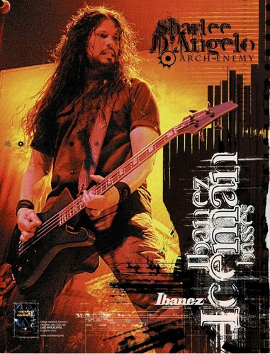Ibanez guitars iceman - guitars,
