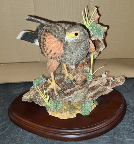 Country artists harris hawk - artists,