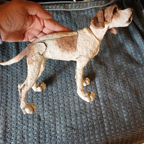 Rare breeds apart dog - dog,