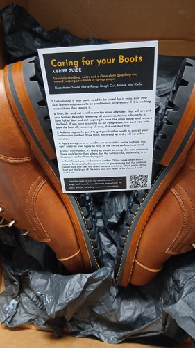 Brand new truman cattail - brand,