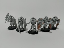 Warhammer 40k Necron Lychguard (5), Assembled and Painted