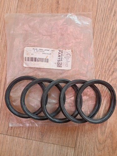 Alpha boiler flue - alpha,
