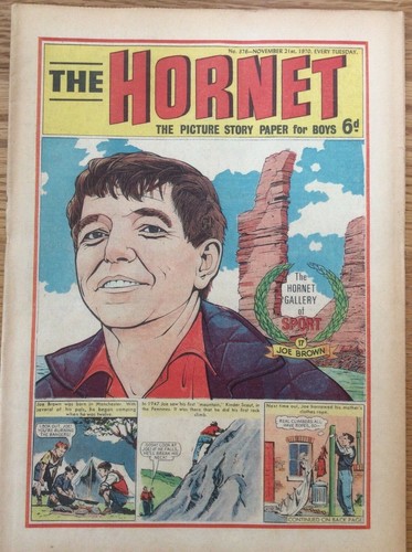 The hornet 376 squadron x - #376,