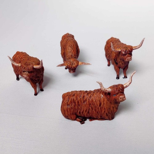 Highland cows animal - cows,