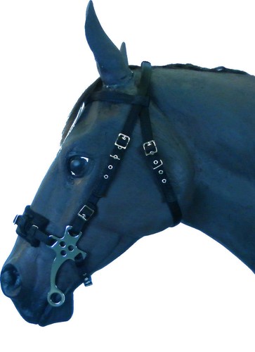 Official libby hackamore - official, libby's