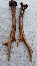 ROE Antler/Dog