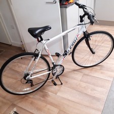 Raleigh grande bike - raleigh,