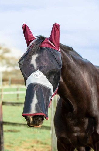 Horse fly mask - horse, nose