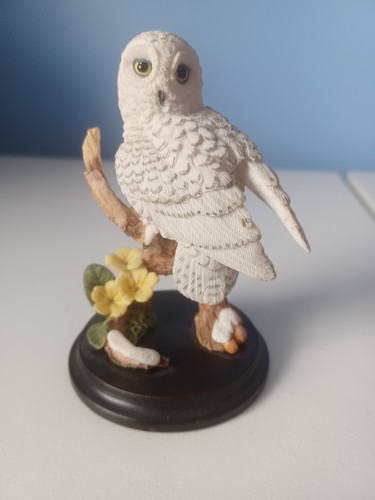 Snowy owl with primrose - owl,