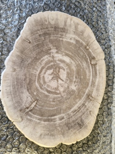 Stunning petrified - stunning,