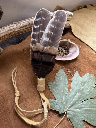 Native american wing feather - native,