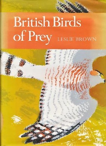 British birds prey - birds, of
