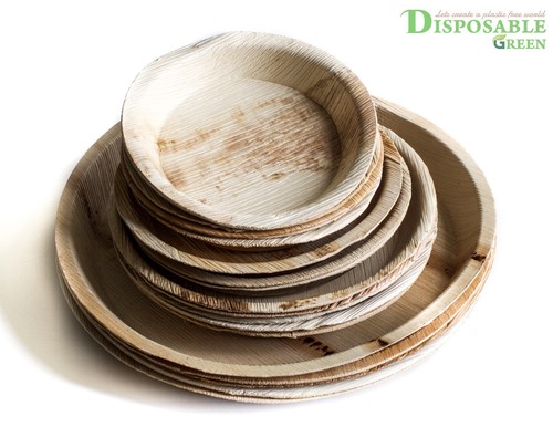 Pack areca palm - pack,