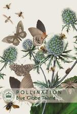 Thompson & Morgan Kew