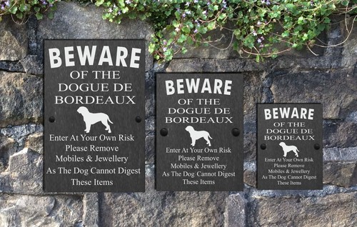 Humorous beware the dog - beware,