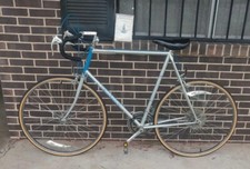 1983 Vintage Raleigh Record 10