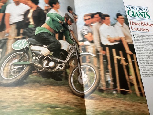 Triumph metisse greeves - metisse,