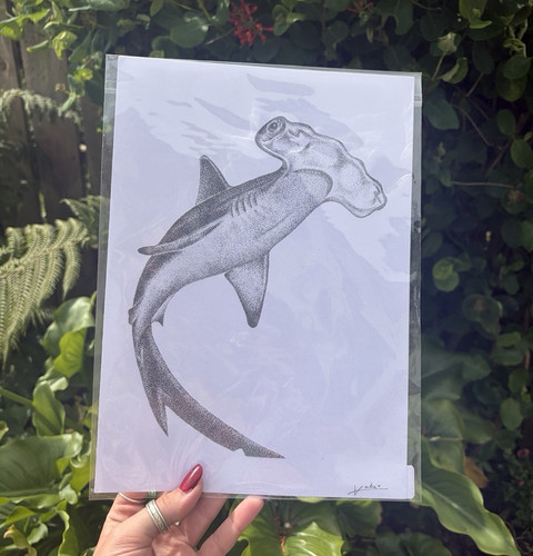 Hand drawn hammerhead shark - drawn,