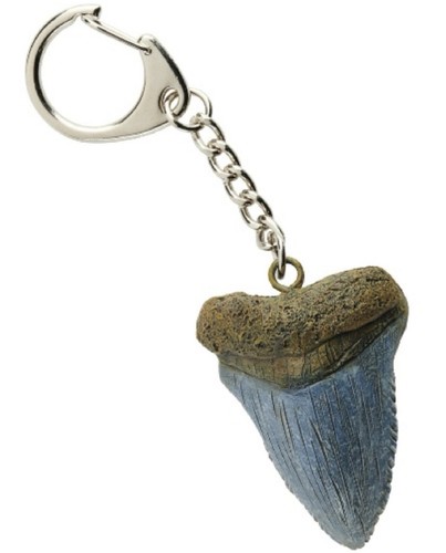 Megalodon tooth keyring - tooth,