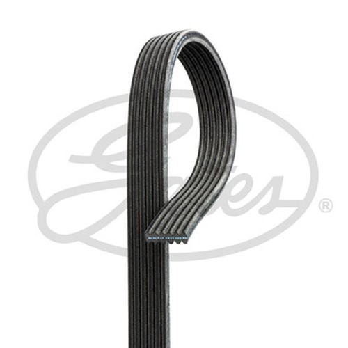 Rib multi drive belt - 6,