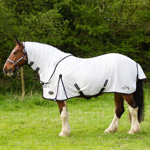 Gallop fly mesh dual - gallop, rug