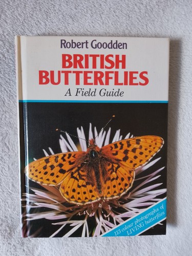 British butterflies field - butterflies:,