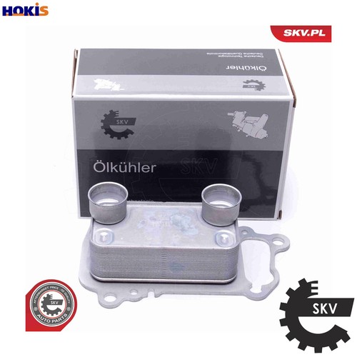 Oil cooler engine - oil, 31skv225
